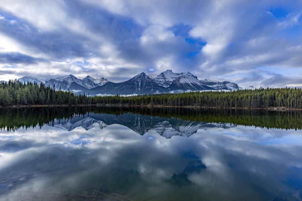 Herbert Lake