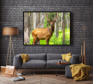 Framed art print of a stag elk in a forest, displayed in a modern living room